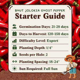 Seedboy Ghost Pepper dish idea for spicy meals.