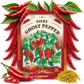 Seedboy Ghost Pepper seeds pack ready for indoor or outdoor planting.