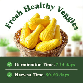 Seedboy organic seeds with USDA Organic certification for reliable results