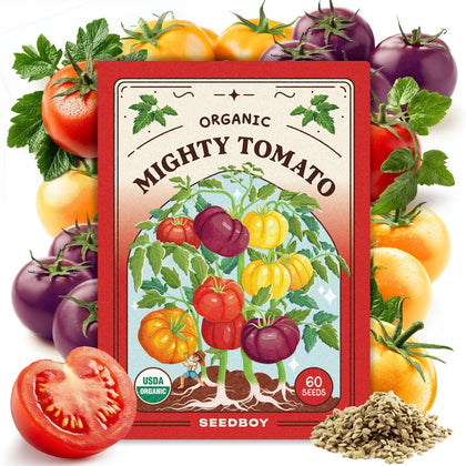 Seedboy Rainbow Beefsteak Tomato seeds in a packet for indoor or outdoor gardening.