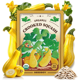 Seedboy Summer Squash Seeds packet showing non-GMO certification for trusted gardening