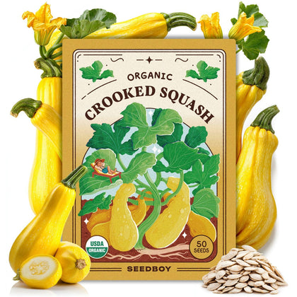 Seedboy Summer Squash Seeds packet showing non-GMO certification for trusted gardening