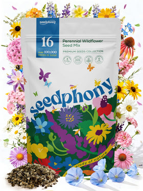 Seedphony 16 Perennial Wildflower Mix packaging with resealable pouch preserves viability.