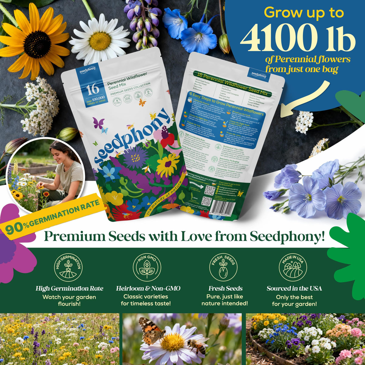 Seedphony 16 Perennial Wildflower Seeds close-up for vibrant garden displays.