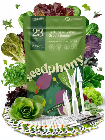 Seedphony 23 Lettuce Seeds Variety Pack in a ready-to-use kit for homegrown greens.