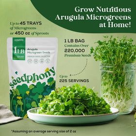 Seedphony arugula microgreens on a tray ready for harvest.