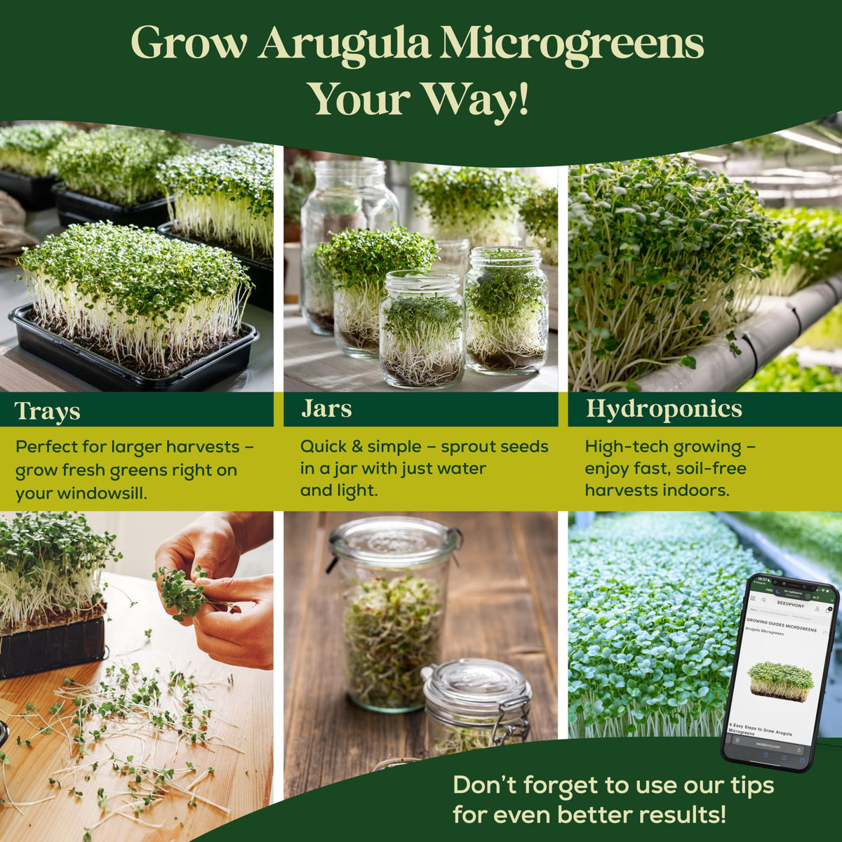 Seedphony arugula resealable bag preserves seed freshness.