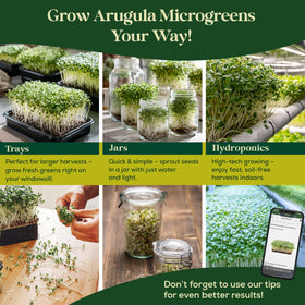 Seedphony arugula resealable bag preserves seed freshness.