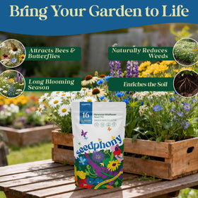 Seedphony beginner-friendly instruction card supports successful sowing.