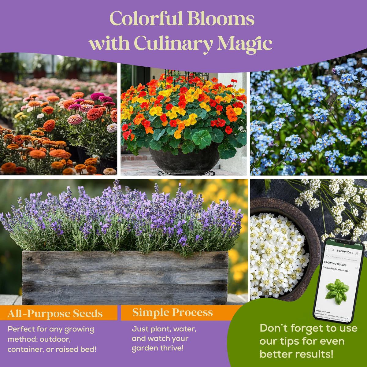 Seedphony edible flowers for dining — add color and fragrance to meals.