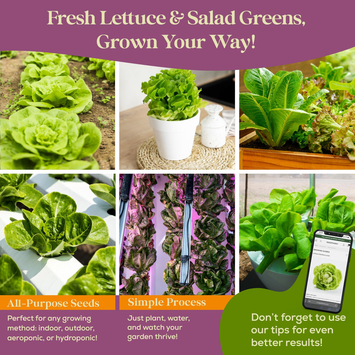 Seedphony QR-guided growing guide and culinary e-book support harvests.
