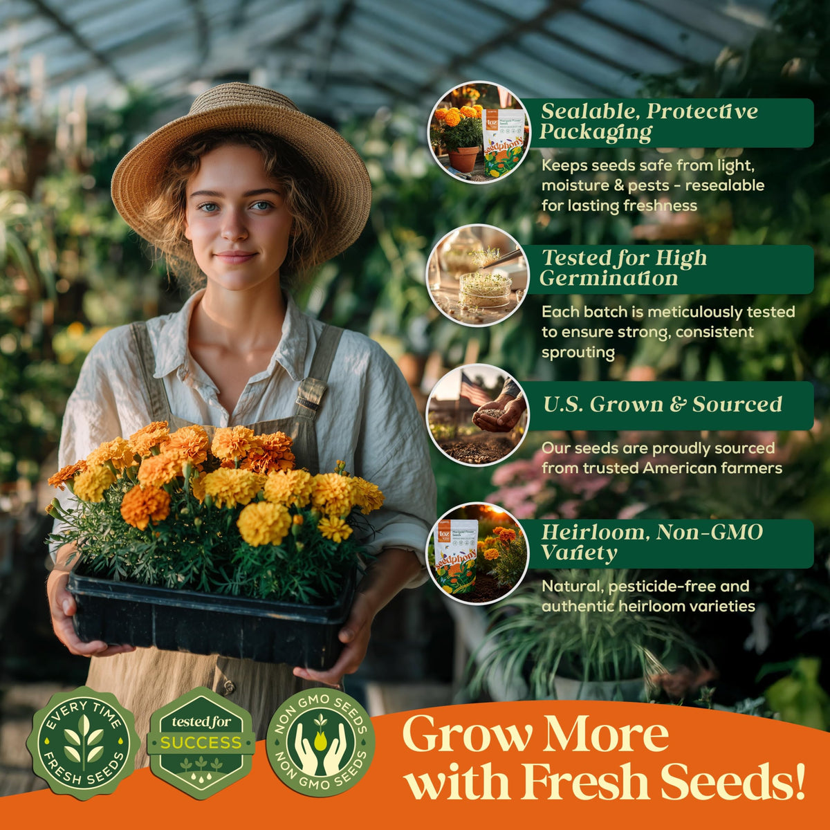 Seedphony heirloom marigold seeds bring rich color to indoor and outdoor spaces.