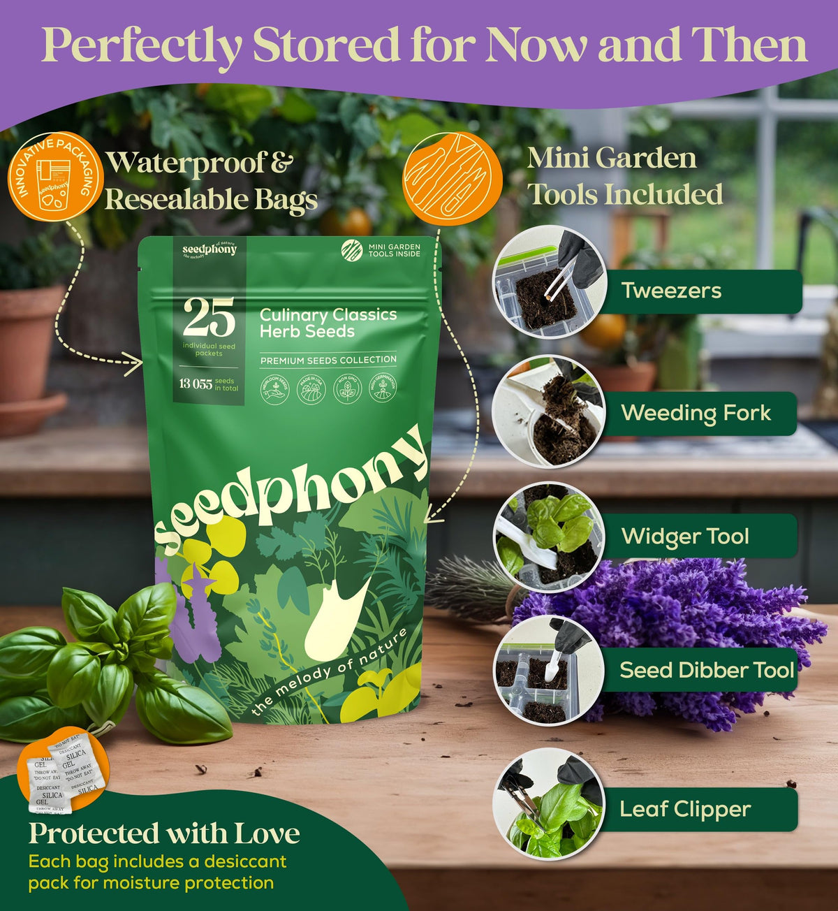 Seedphony Italian parsley leaves close-up for fresh finishing flavor