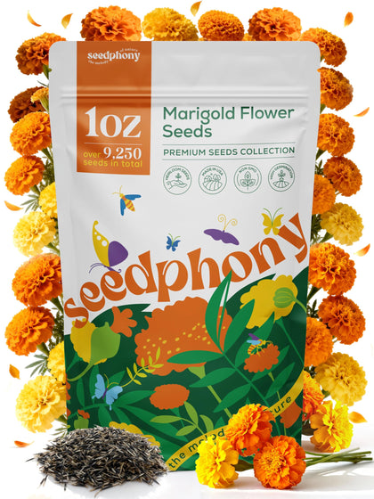 Seedphony marigold seeds in a 1 oz pack for vibrant, pollinator-friendly gardens.
