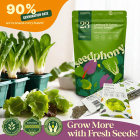 Seedphony non-GMO heirloom seeds offer diverse lettuce varieties for salads.