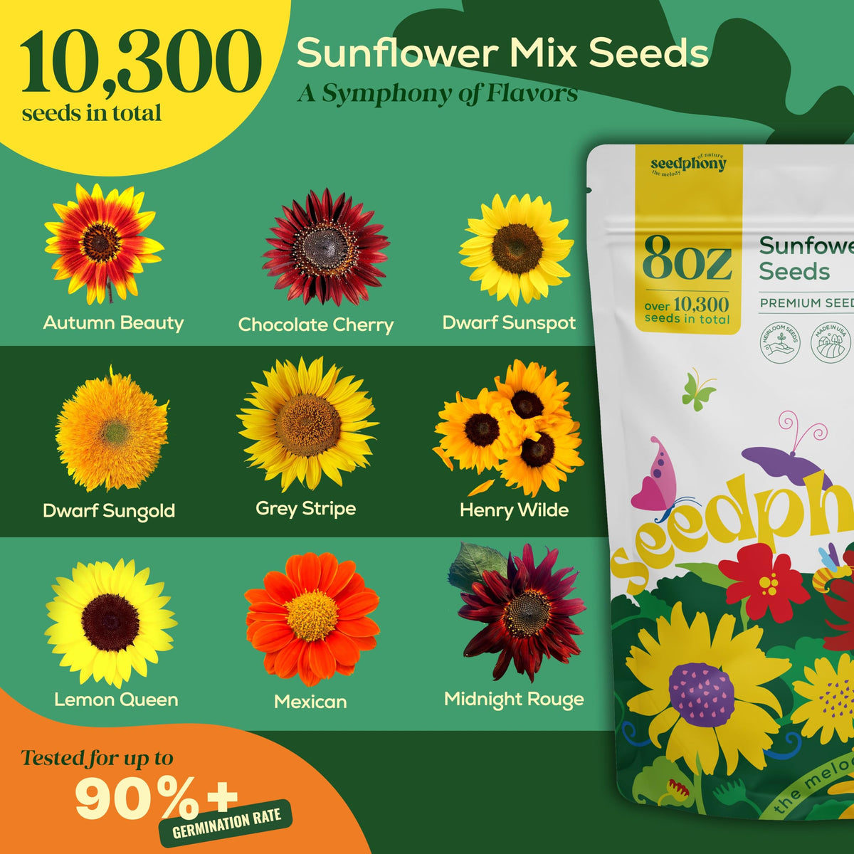 Seedphony Dwarf Sunspot variety ideal for compact containers and small spaces