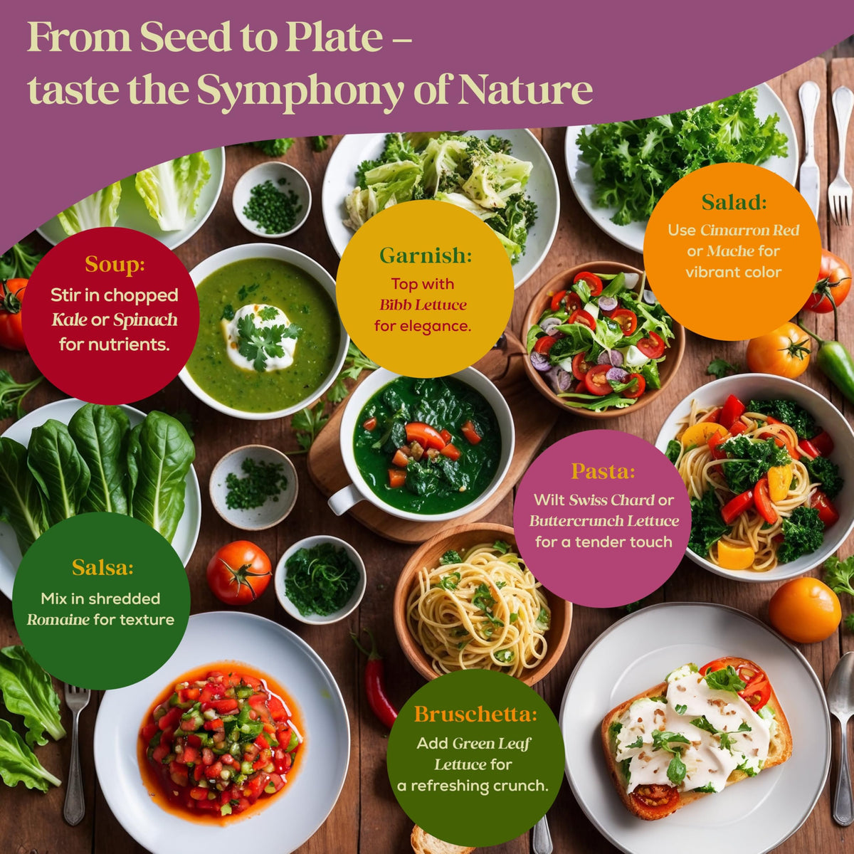 Seedphony US-sourced seeds ensure high germination for reliable harvests.