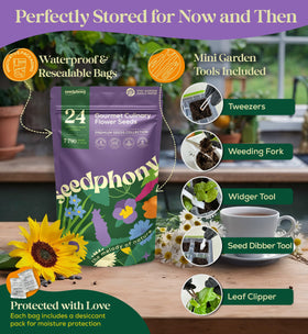 Seedphony US-sourced non-GMO seeds — trusted heirloom genetics for consistent results.