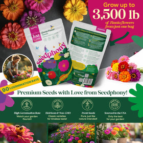 Seedphony waterproof seed pouch protects freshness for long storage and later planting.