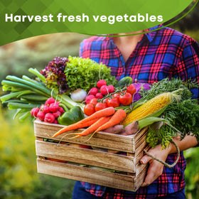 Seeds Of Strength 25 heirloom varieties for flavorful, diverse harvests.