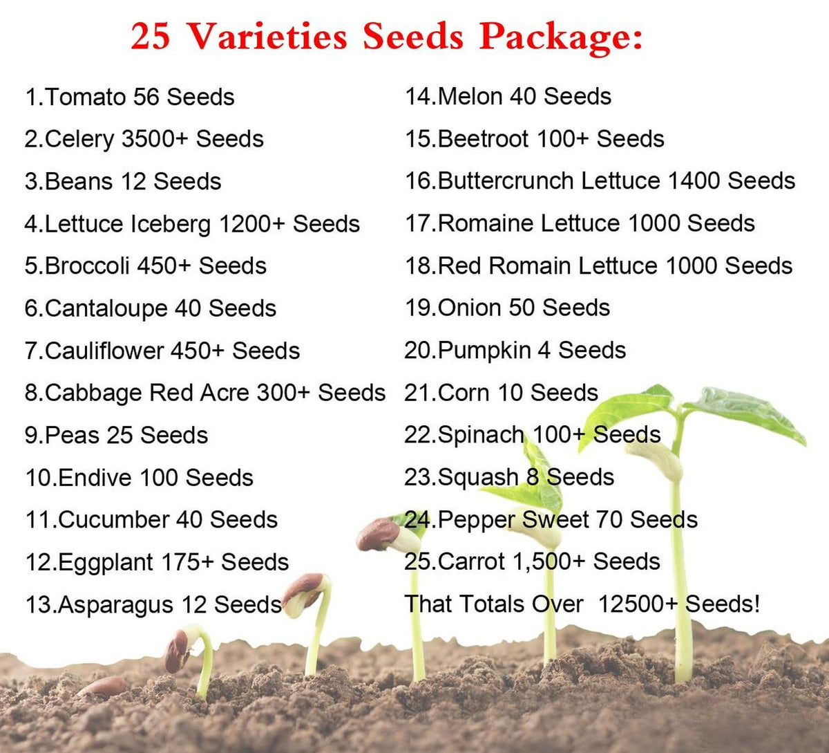 Seeds Of Strength bountiful harvest seeds enable steady family-friendly yields.