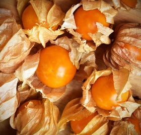 Seeds Of Strength cape gooseberry golden berries ready for fresh eating and gourmet recipes.