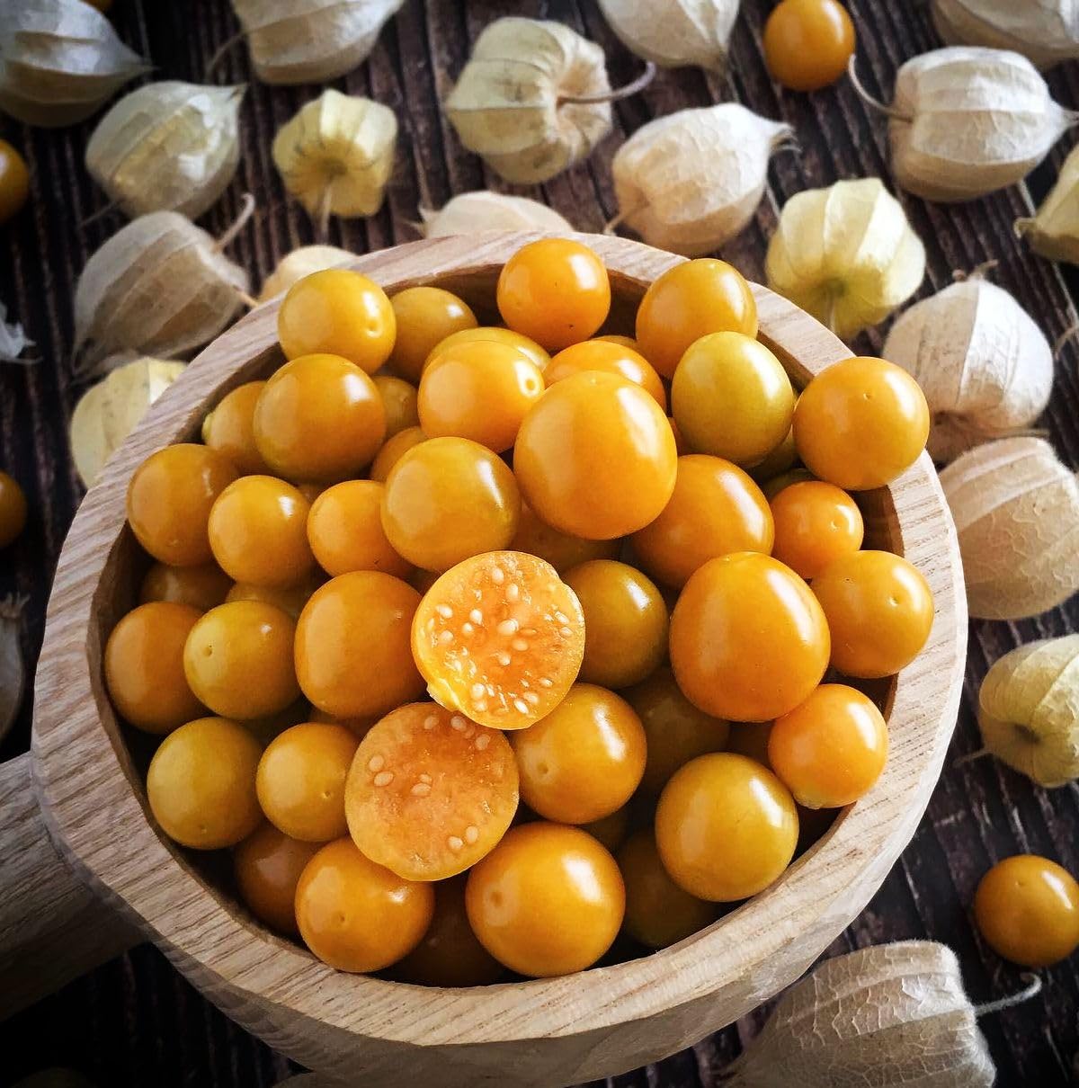 Seeds Of Strength cape gooseberry plant in pot showing compact growth and container-friendly option.