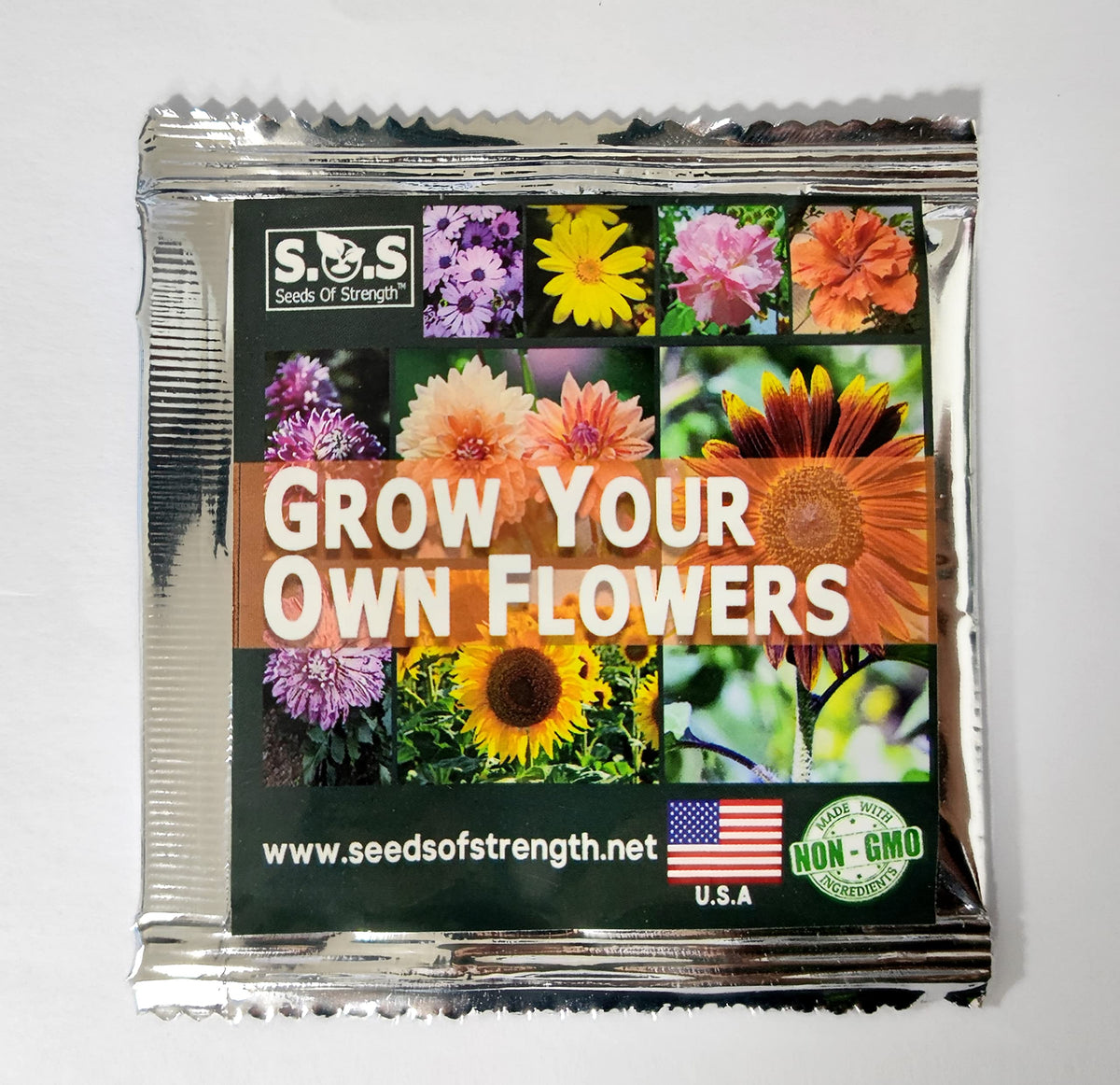Seeds Of Strength daisy garden seed sowing in partial shade area