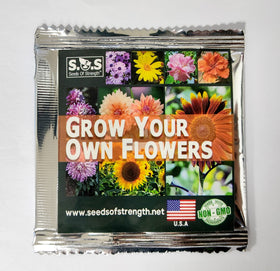 Seeds Of Strength daisy garden seed sowing in partial shade area