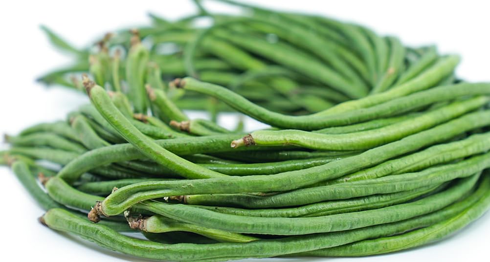 Seeds Of Strength direct-seed beans demonstrating easy planting method