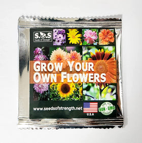 Seeds Of Strength drought-tolerant thyme in sunlit patch showing low-maintenance ground cover.
