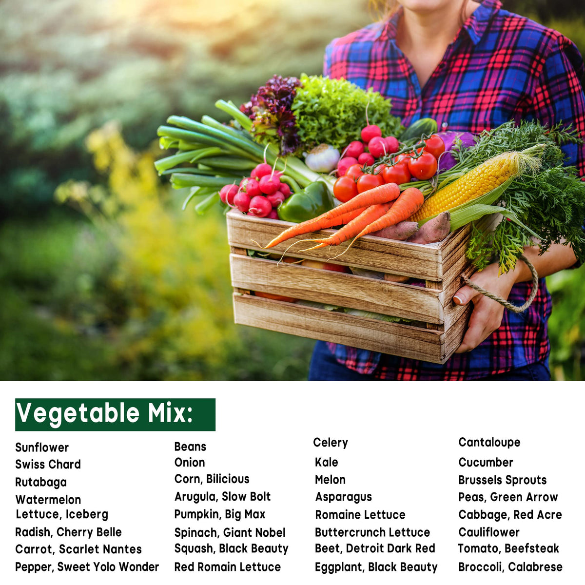 Seeds Of Strength easy garden starter kit for beginner-friendly planting