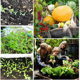 Seeds Of Strength garden gift set suits new and seasoned gardeners.