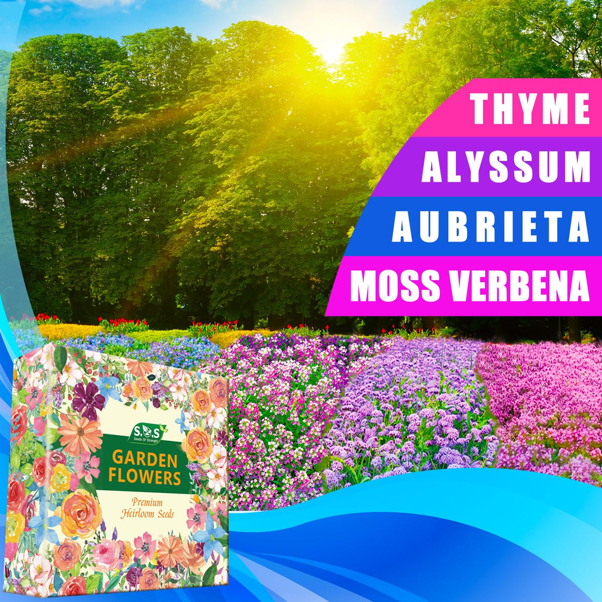 Seeds Of Strength ground-cover collection bag with four varieties for a lush, low-maintenance carpet.