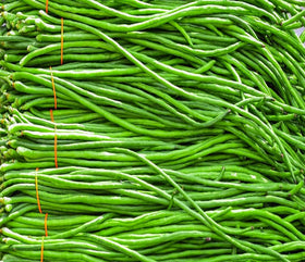 Seeds Of Strength Harvest-ready green noodle beans on the plant.