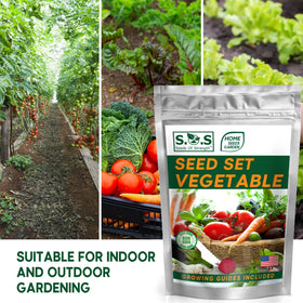 Seeds Of Strength lettuce seeds pack for crisp leafy greens and fresh salads