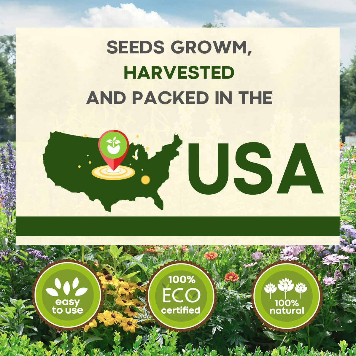 Seeds Of Strength container display adds vibrant color to patios and balconies.