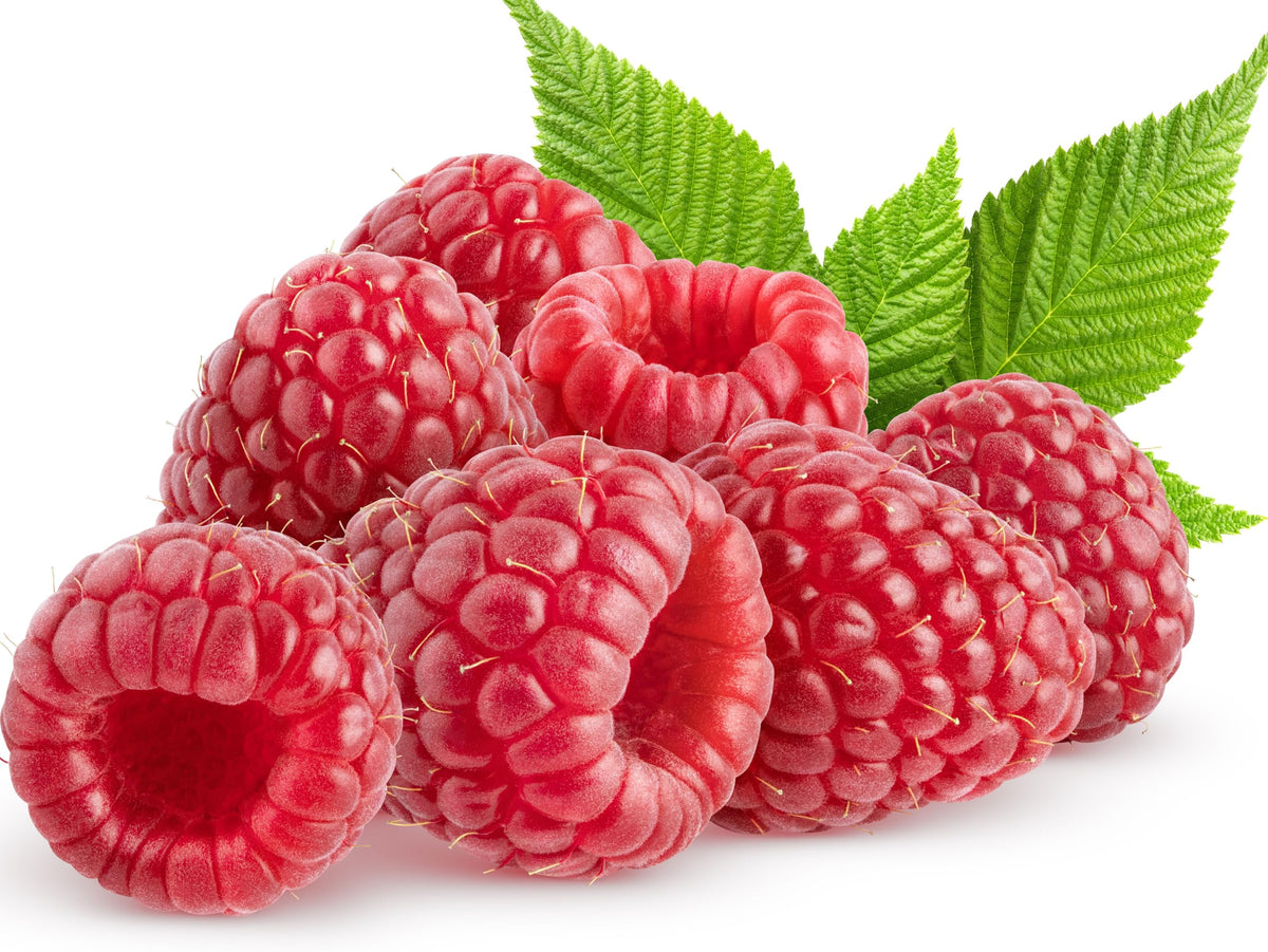 Seeds Of Strength red raspberry seeds pack front, ideal for home gardening.