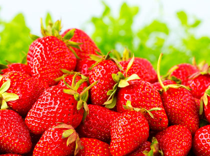 Seeds Of Strength strawberry seeds pack for home garden planting and fresh harvest