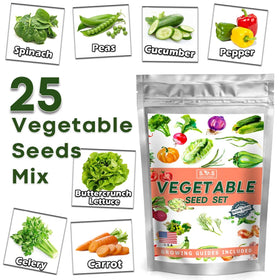 Seeds Of Strength tomato pepper cucumber pack supports reliable germination in containers.