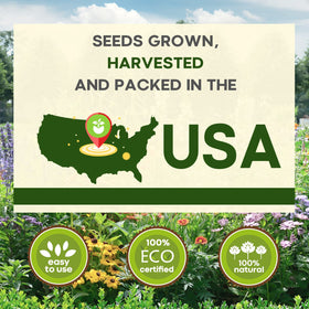 Seeds Of Strength vegetable fruit seeds offer fresh, non-GMO produce.