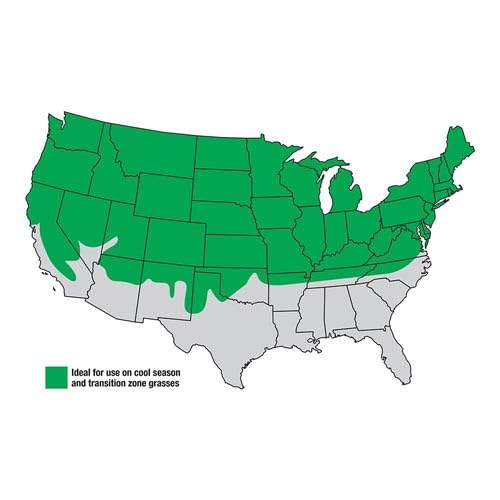 Seeds2Go Kentucky Bluegrass lawn dense emerald turf forming lush, foot-friendly cover.