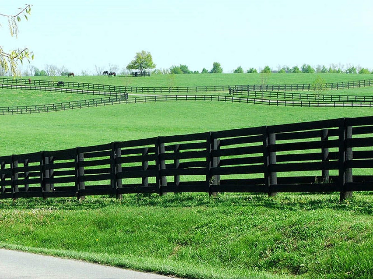 Seeds2Go Kentucky Bluegrass overseeding option for self-repair and renewal.