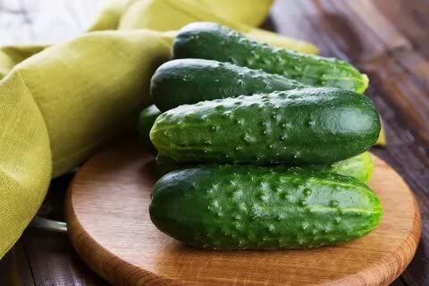 SeedsUA harvest-ready cucumber after 40 days in warm soil