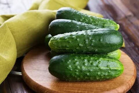 SeedsUA harvest-ready cucumber after 40 days in warm soil