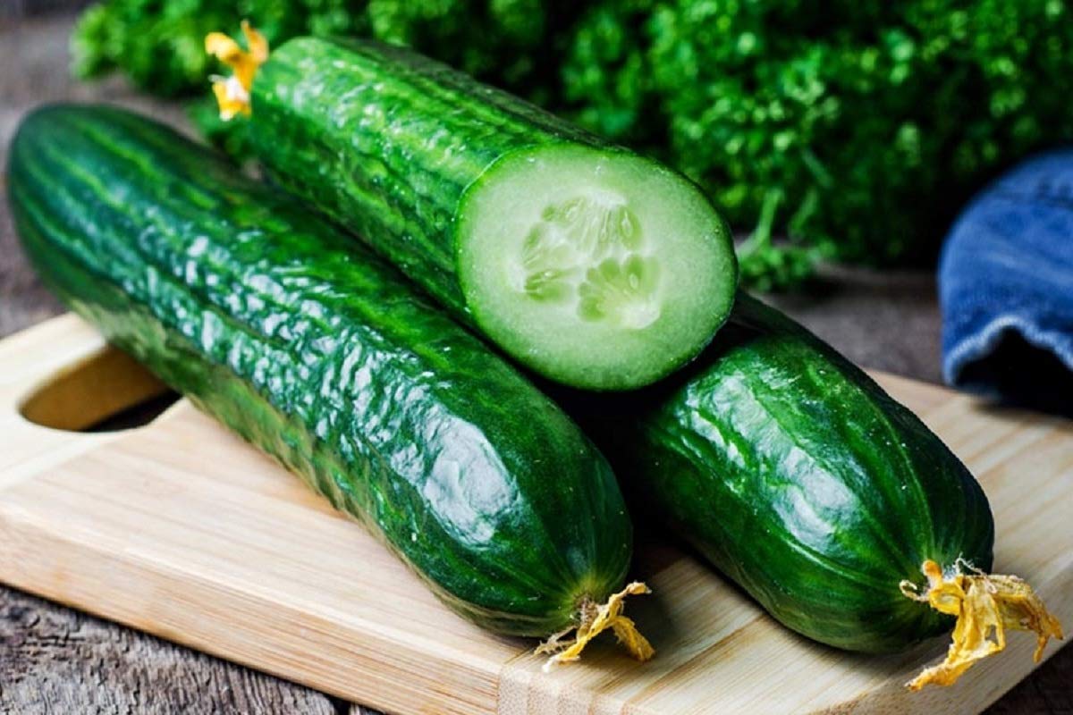 SeedsUA Zozula cucumber sliced for crisp salads