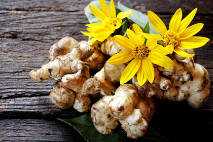 Seedville Jerusalem Artichoke seeds pack ready for spring planting and a bountiful harvest