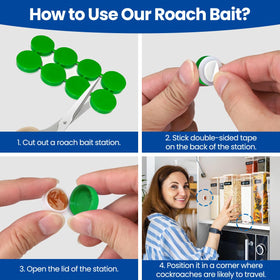 SEEKDIT advanced formulation targets multiple roach species effectively.