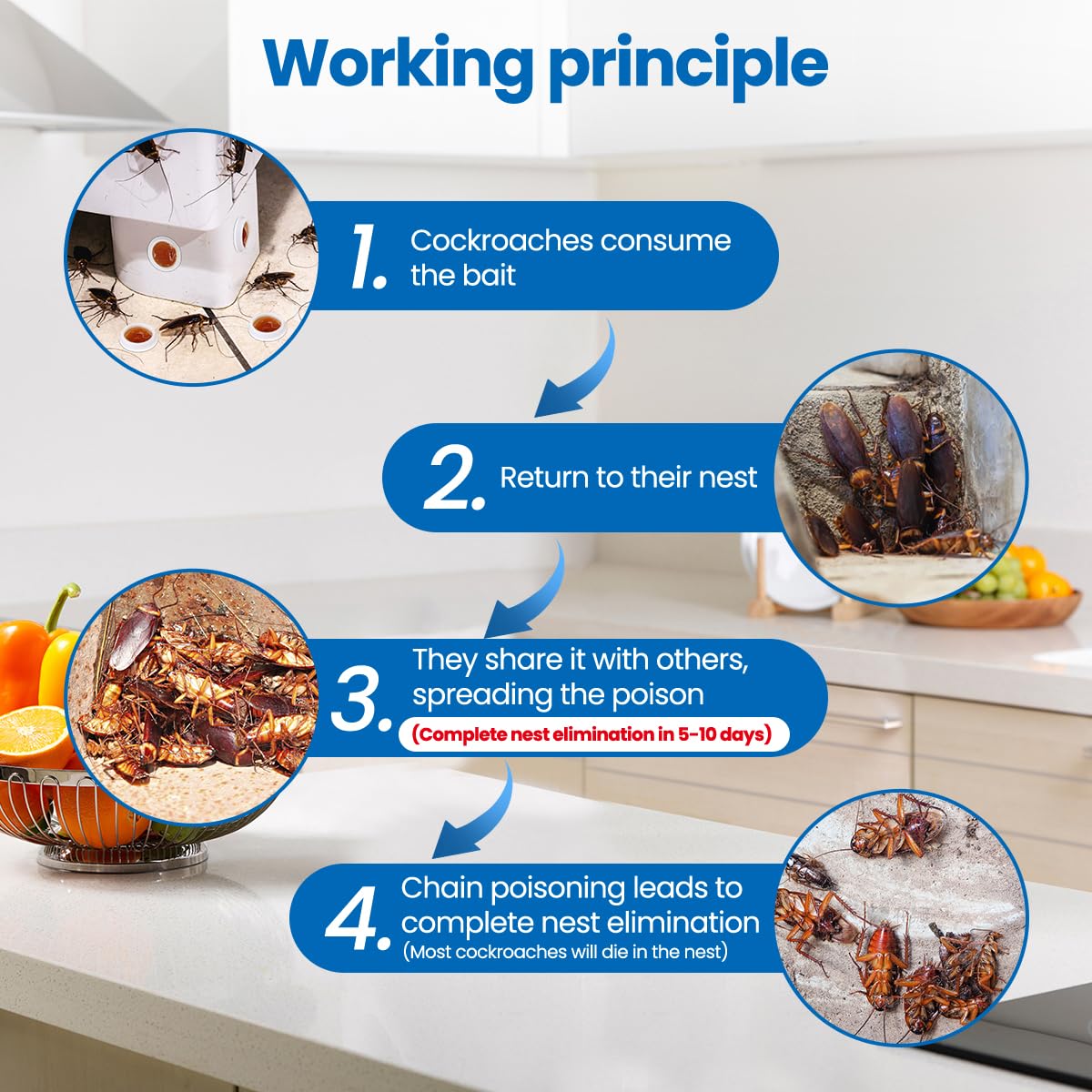 SEEKDIT long-term nest-focused pest control reduces future infestations.