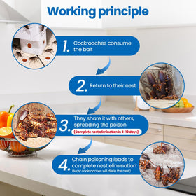 SEEKDIT long-term nest-focused pest control reduces future infestations.